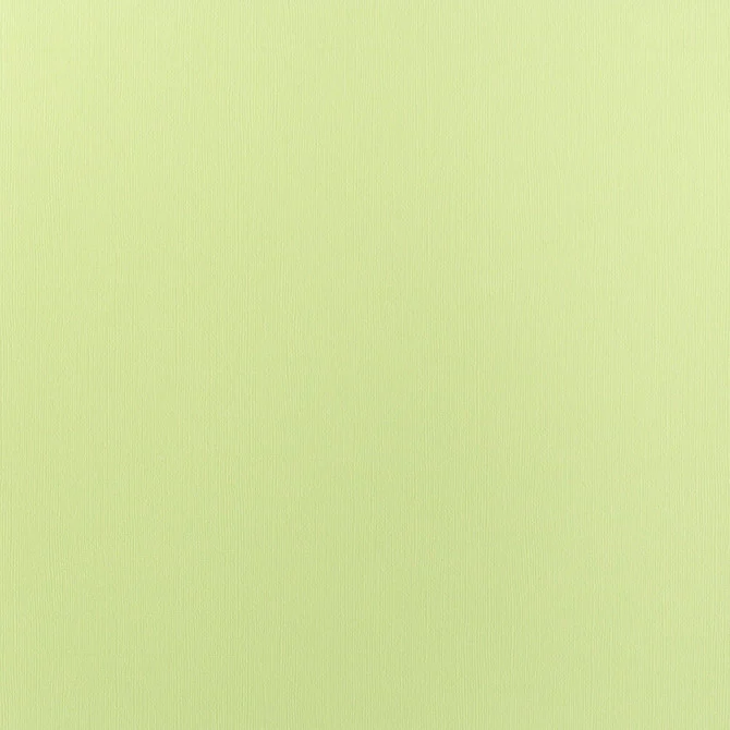 Cartulina Adhesiva Texturizada Limeade